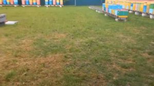 У Природы нет Плохой Погоды!!!