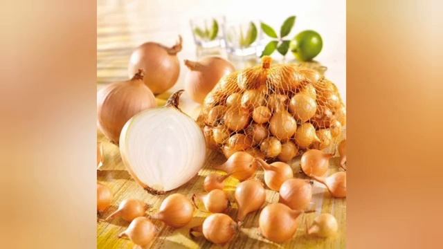 Как выбрать лук севок для посадки 🌱 Какой лук севок лучше покупать