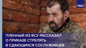 Пленный из ВСУ рассказал о приказе стрелять в сдающихся сослуживцев
