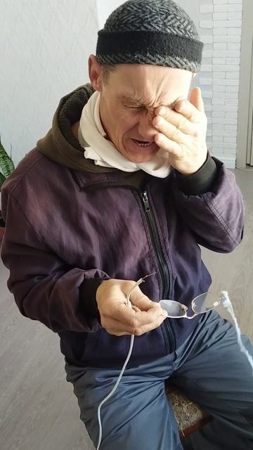 Коровы засмеют