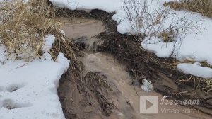 The Nature in February