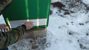 Ставлю теплое промежуточное дно в наблюдательный улей...