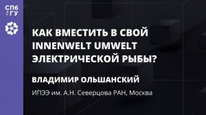 Владимир Ольшанский «Как вместить в свой Innenwelt Umwelt электрической рыбы?»