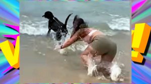 ПРИКОЛЫ НА КАЖДЫЙ ДЕНЬ: СМЕШНЫЕ ВИДЕО ДЛЯ ПОДНЯТИЯ НАСТРОЕНИЯ