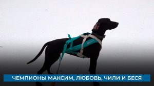 Чемпионы Максим, Любовь, Чили и Беся