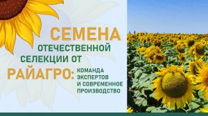 Семена отечественной селекции от РайАгро: команда экспертов и современное производство