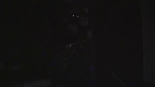 🤫Что скрывается за сюжетом Duck Season_ (Вилли)