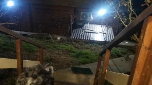 СОЧИ ГОРНОЕ ЛОО УТРО 16.03.2026