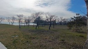 Геленджик.Парк Молодежный