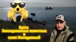 Бухта Заколдованных ивотных и пляж Молодежный