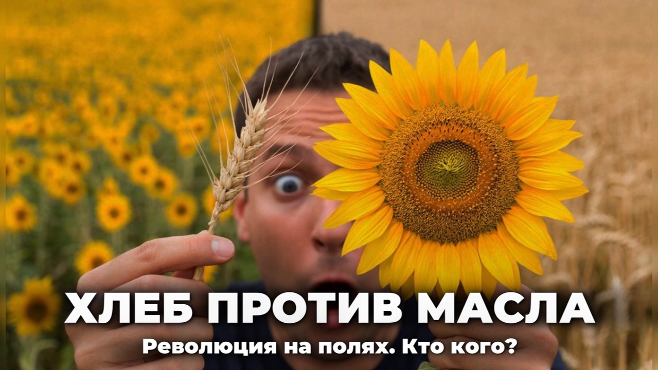 Эпоха Масла: Как Подсолнечник Меняет Экспортный Ландшафт России