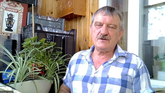 Весной клубнике нужно ЭТО