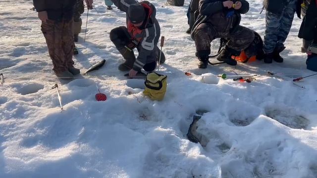 16.03.26г РК Волна. смотреть онлайн