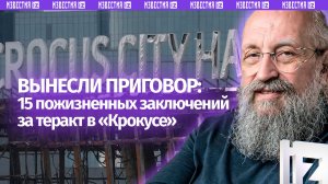 15 пожизненных. Вассерман — о приговорах по делу теракта в «Крокусе» / Открытым текстом