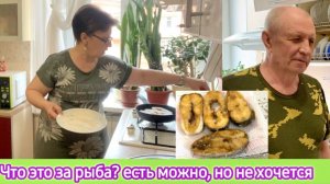Что это за рыба? Есть можно, но не хочется. Как меня обманули на рынке