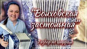 ВОЛХОВСКАЯ ЗАСТОЛЬНАЯ ► Разбор на гармони
