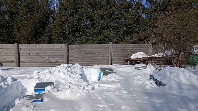 Кострома полетела. Облет основного точка. Пчелосезон 2026 открыт