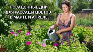 Посадочные дни для рассады ЦВЕТОВ в МАРТЕ и АПРЕЛЕ по лунному календарю садоводов и огородников 🌸