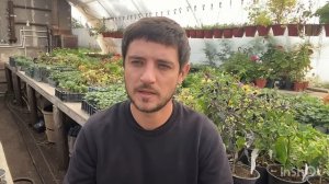 2. Какие удобрения лучше всего внести осенью под перекопку в почву.  Схема.