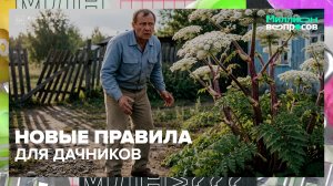 С 1 марта дачники могут получить штраф за борщевик | Миллион вопросов — Москва 24