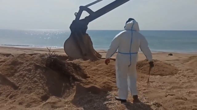 Вот так убирают защитные сети в Анапе