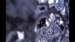 Марта Дорофеева. Ажурные изделия и окрашивание снуда бальзамом для волос