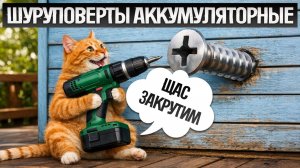 ТОП—5: Лучшие АККУМУЛЯТОРНЫЕ ШУРУПОВЕРТЫ (2026) || Рейтинг аккумуляторных шуруповертов
