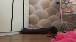 1 весенние каникулы 34 серия