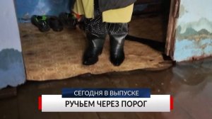 НОВОСТИ ДНЯ. Программа «Губерния», 16 марта