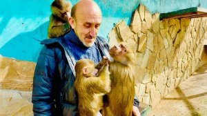 Я такое вижу ПЕРВЫЙ РАЗ- Анфиса с такой нежностью ухаживает за Люсей❤️