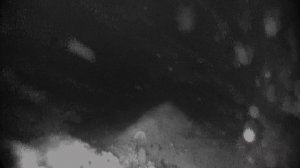 речное дно.