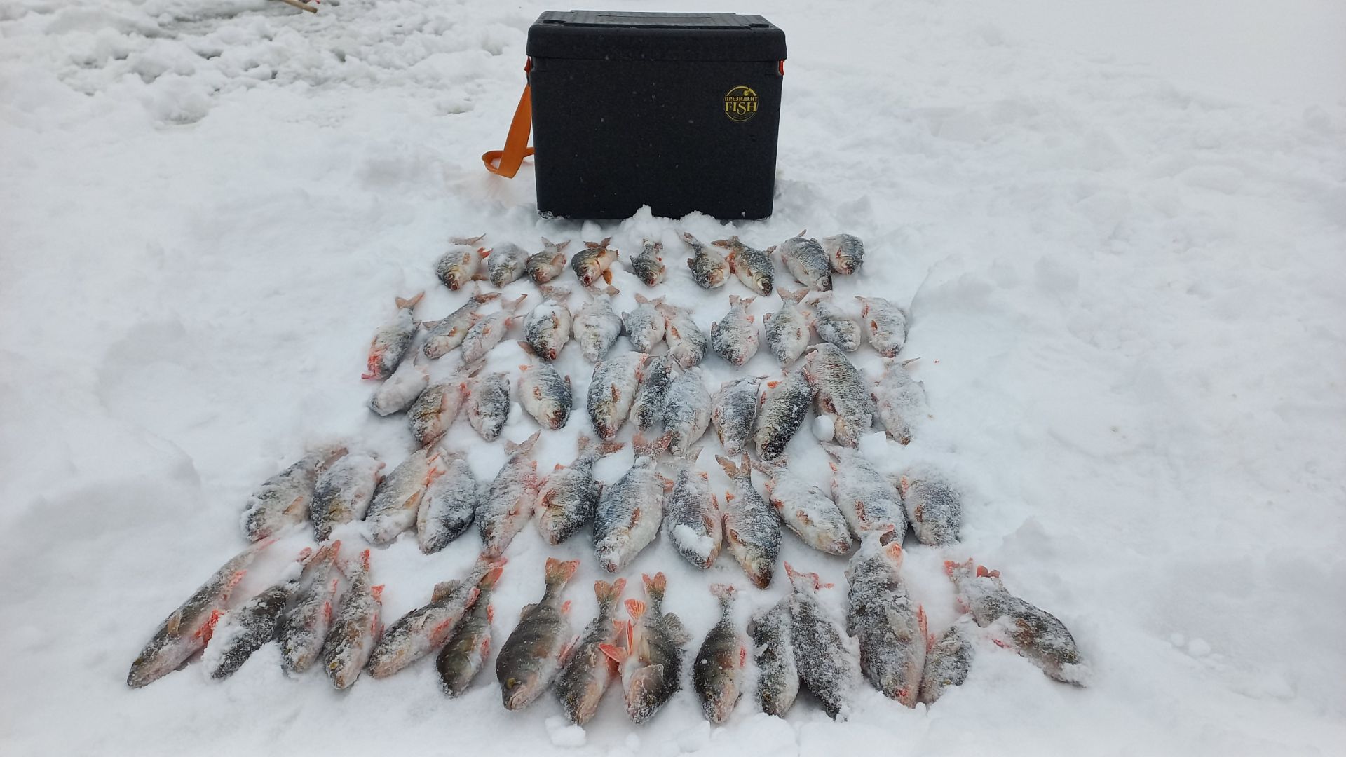 Лучшая рыбалка сезона!!!! Отличный клев в первый день нового года.