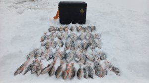 Лучшая рыбалка сезона!!!! Отличный клев в первый день нового года.