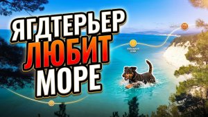 Ягдтерьер открывает купальный сезон. Март 2026 года.