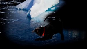 Весеннее бульканье. Звуки воды под льдом