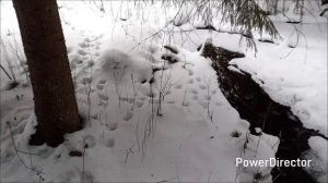 Нива Тревел /// Фотоохота удалась!