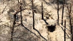 Архив: Штурм вражеских позиций и добивание укропа на 1:33.