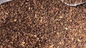 Вирджиния Голд-пикирование Табака