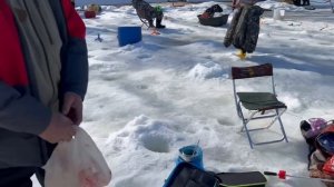 16.03.26г. РК Волна.