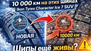 Шины Ikon Tyres Character Ice 7 SUV спустя 10000км