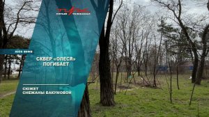 Сквер "Олеся" погибает