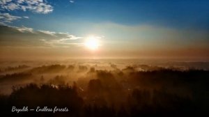 Bryulik - Endless forests