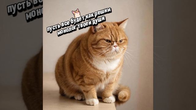 как вам монтаж?
