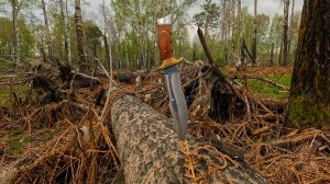 Искали грибы, а нашли рыбу ! Майская рыбалка на реке "Бобровка".