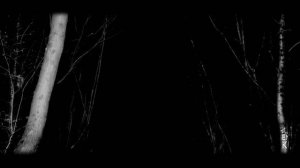 ЗАЙКА.  ЧАСТЬ 3.. Страшные истории на ночь .