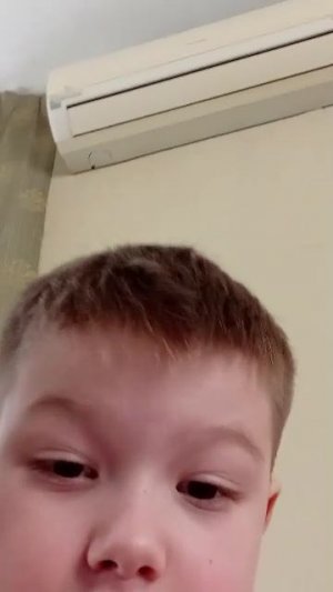 пять ночей с чебурашкой