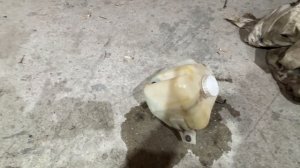 Не работает СтеклоОмыватель. Лада