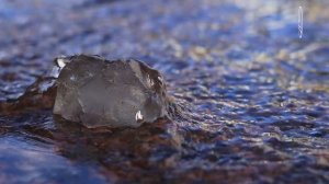 Настя Санатана Дхарма_1