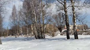 Как употреблять числительные. 1