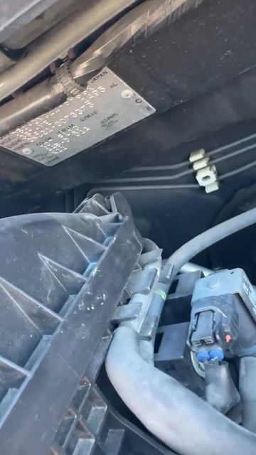 Toyota BB QNC21-0073373 3SZVE 2007